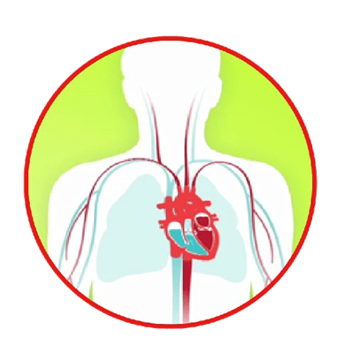 Heart failure diagram